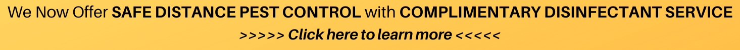 Safe Distance Pest Control with Complimentary Disinfectant Service